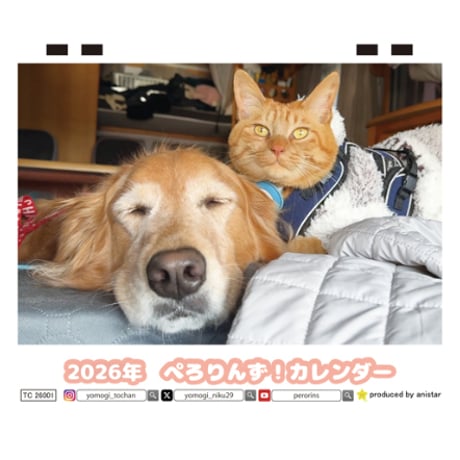 【予約販売】 ぺろりんず！ ゴールデンレトリバー 犬＆保護猫  2026年 卓上 カレンダー TC26291