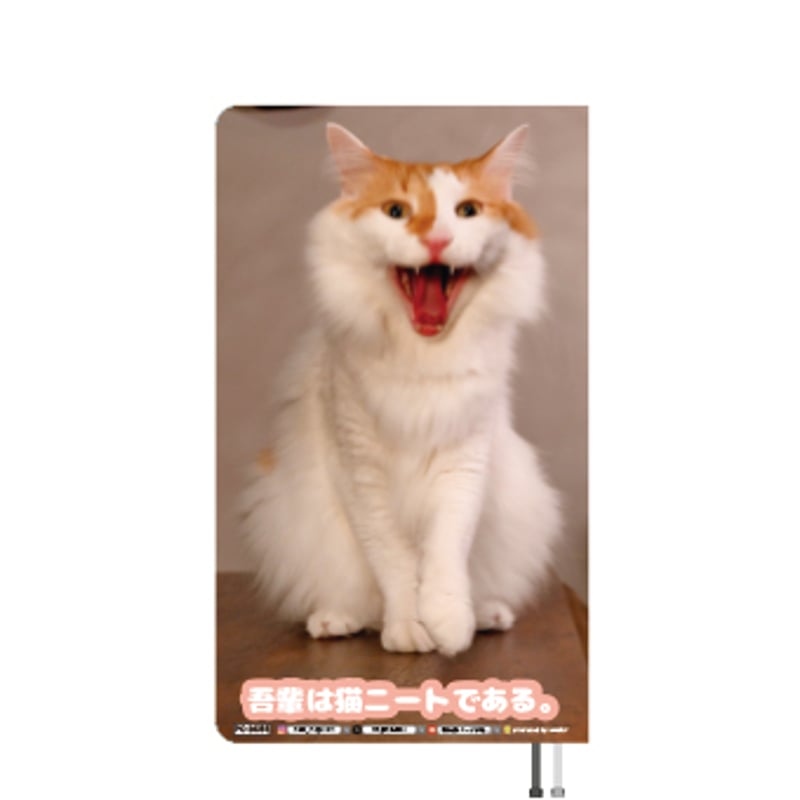 予約販売】 吾輩は猫ニートである。 びび 2026年 ポケットスケジュール