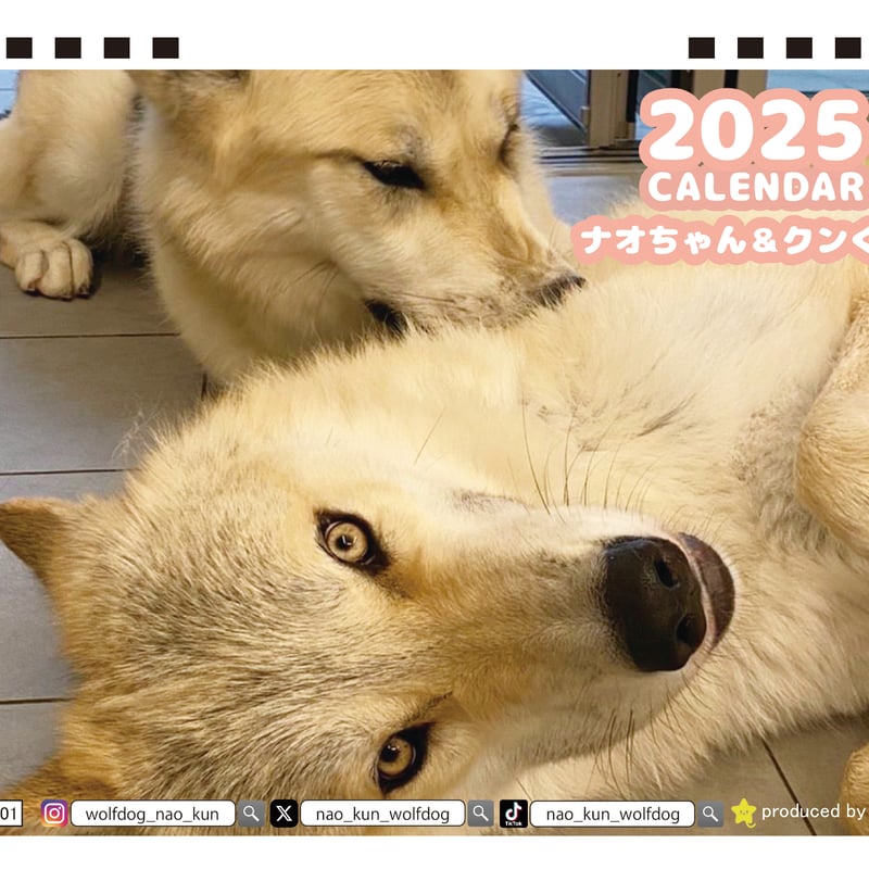 犬猫 [DVD] o7r6kf1 Amazon.co.jp: ワンちゃんスペシャル100 [DVD] : DVD