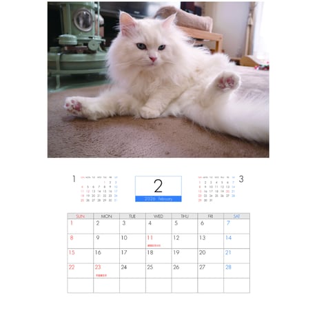 【予約販売】 あつまれちいかまの森 猫 2026年 壁掛け カレンダー KK26292