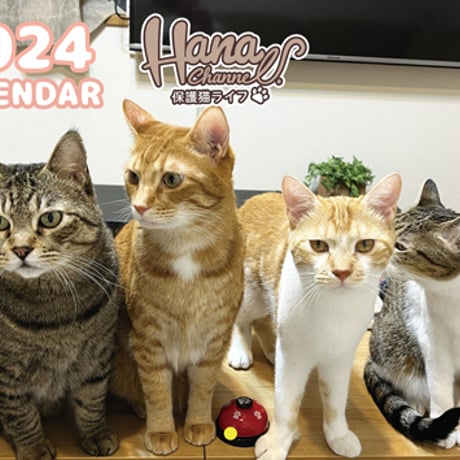 【予約販売】 Hana Channel 保護猫ライフ 2024年 壁掛け カレンダー KK24151