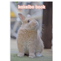 【予約販売】 うさぎの毎日がかんぺい 2025年 家計簿帳 CA25061