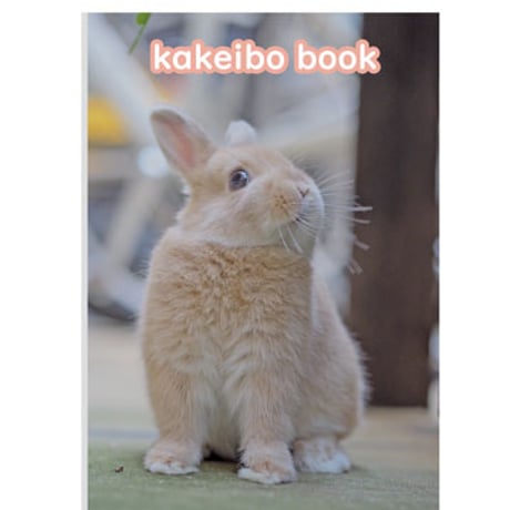 【予約販売】 うさぎの毎日がかんぺい 2025年 家計簿帳 CA25061