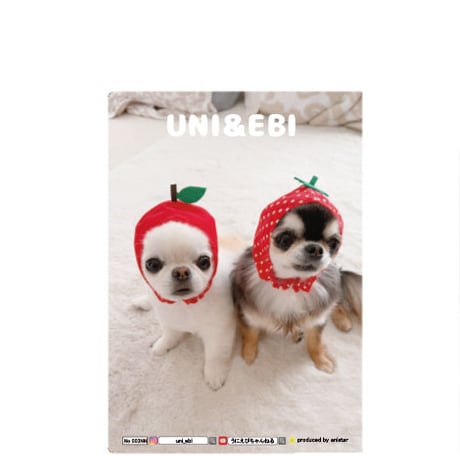【予約販売】 チワワのUNI＆EBI 犬 A5ノート帳 No003NN