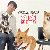 【予約販売】 チワワののぶなが 犬 2026年 壁掛けカレンダー KA26089