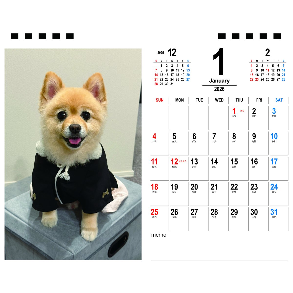 予約販売】 ポメラニアンのポメくん 犬 2026年 卓上半面 カレンダー