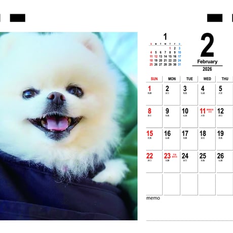 【予約販売】 ポメラニアンのマヨちゃんねる 犬 2026年 卓上カレンダー TC26222