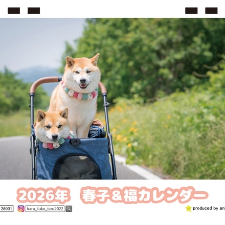 【予約販売】 柴犬の春子＆福 2026年 卓上カレンダー TC26154