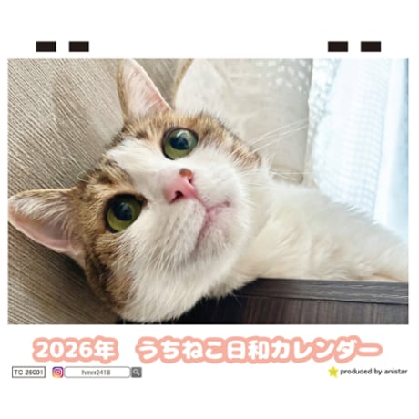 【予約販売】 うちねこ日和 猫 2026年 卓上 カレンダー TC26015