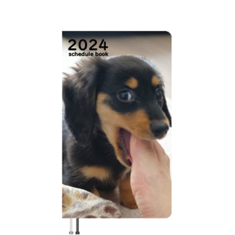 【予約販売】 ミニチュアダックス犬 まんぷくのオケッツ 2024年 ポケットサイズ スケジュール帳 PO24170