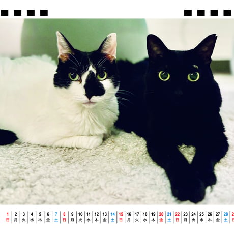 【予約販売】 リュックと愉快な仲間たち 猫 2026年 卓上 カレンダー TA26338