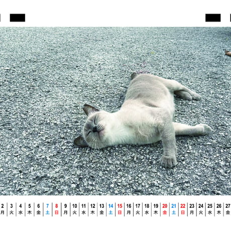 【予約販売】 ねころぐ マレーシアの街のねこたち 猫 2026年 卓上 カレンダー TC26320