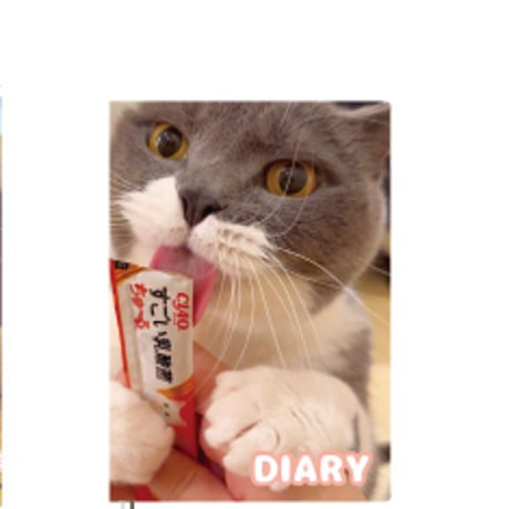 【予約販売】 猫のウルン＆リコリン 2025年 日記帳 DR25277