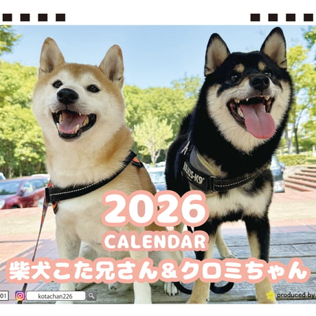 【予約販売】 こた兄さん 柴犬 2026年 卓上カレンダー TA26218