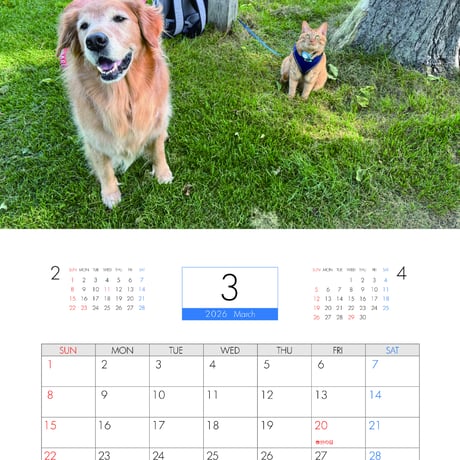 【予約販売】 ぺろりんず！ ゴールデンレトリバー 犬＆保護猫  2026年 壁掛け カレンダー KA26290