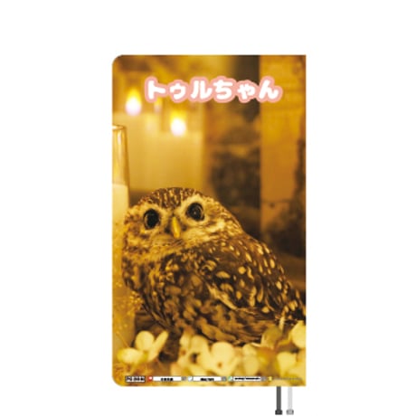 【予約販売】 鳥のフクロウ トゥルちゃん 2024年 ポケットサイズ スケジュール帳 PO24144
