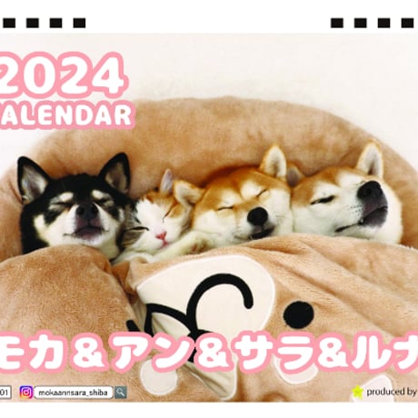 【予約販売】 柴犬 モカ＆アン＆サラ 2024年 卓上 カレンダー TC24210