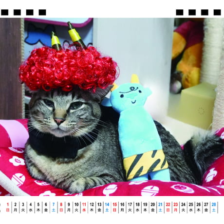 【予約販売】 リキちゃんねる 猫 2026年 卓上 カレンダー TA26343