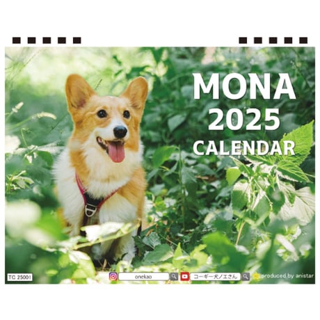【予約販売】  コーギー犬 モナ 2025年 卓上半面 カレンダー TC25352
