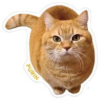 【予約販売】 短足マンチカンのプリンとメル 猫 ステッカー 3枚セット SU024NN