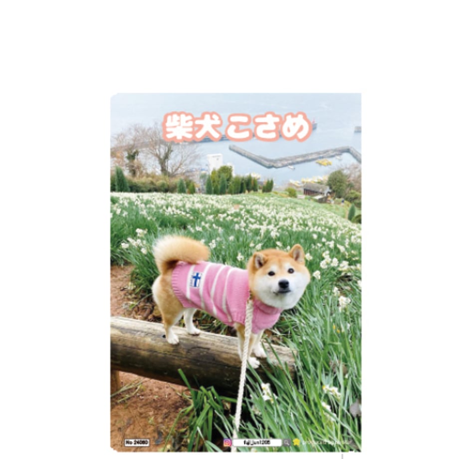 65158e50191a4b000198647a