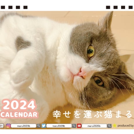 【予約販売】 猫のまる 2024年 卓上 カレンダー TC24074