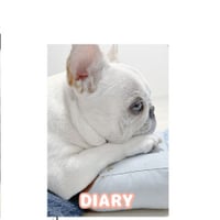【予約販売】 フレンチブルドッグ犬のポルコ 2025年 日記帳 DR25215