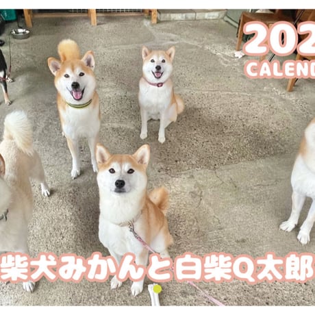 【予約販売】 柴犬みかん園ファミリー 2026年 壁掛け カレンダー KA26326