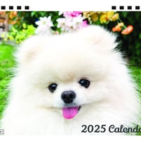 【予約販売】 犬のポテチ 2025年 卓上全面 カレンダー TC25180