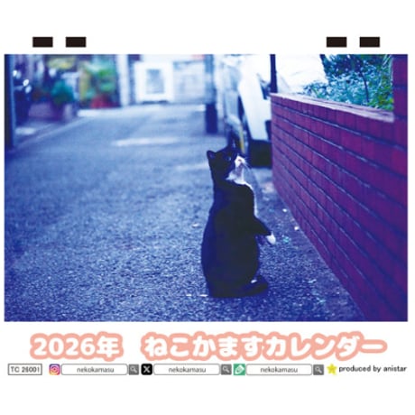 【予約販売】 ねこかます 猫 2026年 卓上 カレンダー TC26050