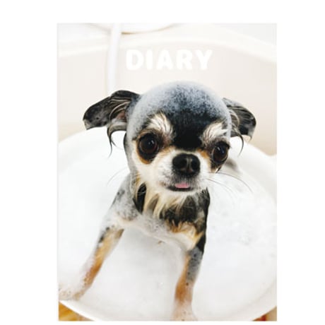 【予約販売】 チワワのUNI＆EBI 犬 日記帳 DR004NN