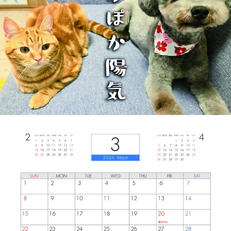 【予約販売】 犬と猫の親バカ日記 2026年 壁掛けカレンダー KA26207