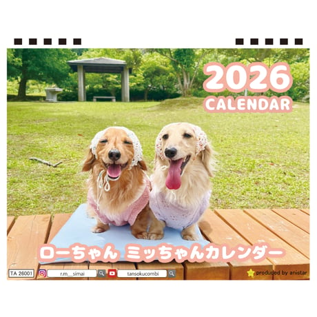 【予約販売】 ローちゃん ミッちゃん ダックスフンド 犬 2026年 卓上半面 カレンダー TA26032