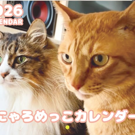 【予約販売】 猫のにゃろめっこ 2026年 壁掛けカレンダー KA26155