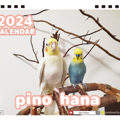 【予約販売】 オカメインコ鳥のpino hana 2024年 卓上 カレンダー TC24197