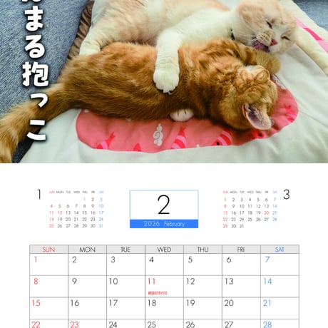 【予約販売】 犬と猫の親バカ日記 じゅんちゃん茶太郎 2026年 壁掛けカレンダー KA26208