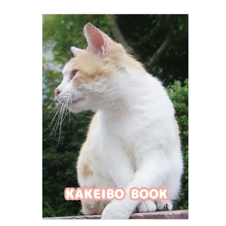 【予約販売】 ねこかます 猫 家計簿 CA002NN
