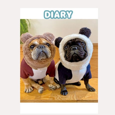 【予約販売】 フレンチブルドッグ犬のtorus トーラス 2025年 日記帳 DR25039