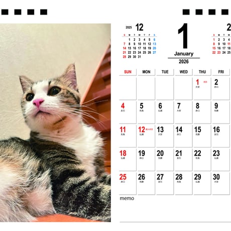 【予約販売】 ひのき猫 2026年 卓上カレンダー TA26176