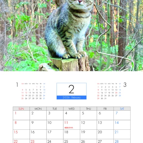 【予約販売】 TENTEN 猫 2026年 壁掛けカレンダー KK26067