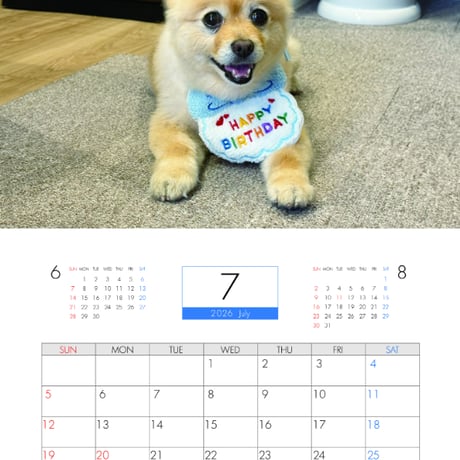【予約販売】 ポメラニアンのポメくん 犬 2026年 壁掛け カレンダー KA26344