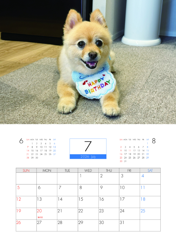 予約販売】 ポメラニアンのポメくん 犬 2026年 壁掛け カレンダー