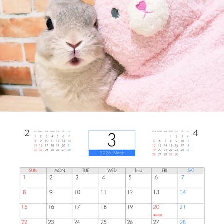 【予約販売】 うさぎのコガラナ天パのうさハムch 2026年 壁掛けカレンダー KA26190