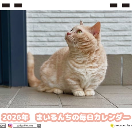 【予約販売】 まいるんちの毎日 猫 2026年 卓上カレンダー TC26234