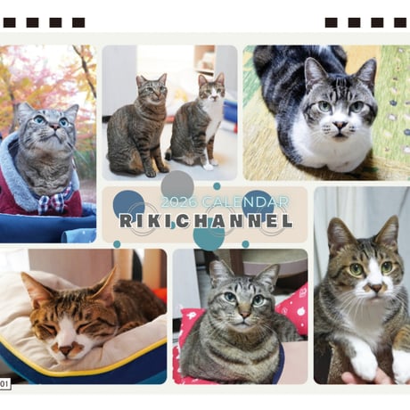 【予約販売】 リキちゃんねる 猫 2026年 卓上 カレンダー TA26343