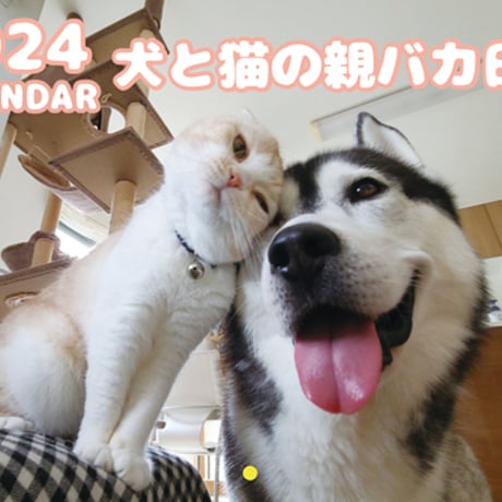 【予約販売】 犬と猫の親バカ日記 2024年 壁掛け カレンダー KK24212