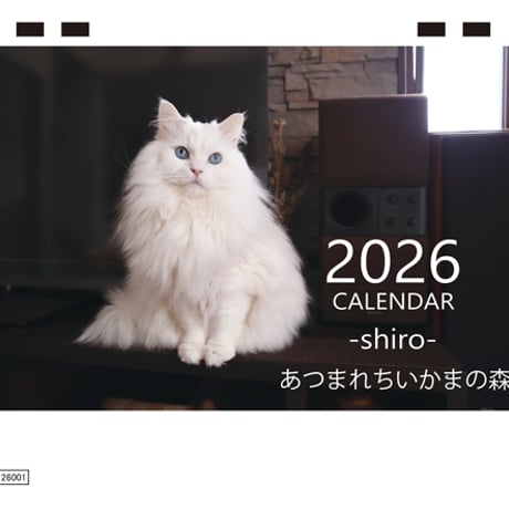 【予約販売】 あつまれちいかまの森 猫 2026年 卓上 カレンダー TC26293