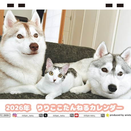 【予約販売】 りりここたんねる 2026年 卓上カレンダー TC26206