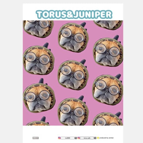 【予約販売】 フレンチブルドッグ犬のtorus トーラス 2025年 家計簿帳 CA25038