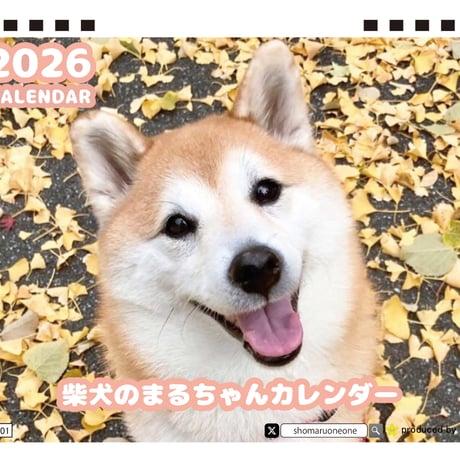 【予約販売】 柴犬のまるちゃん 2026年 卓上カレンダー TA26174